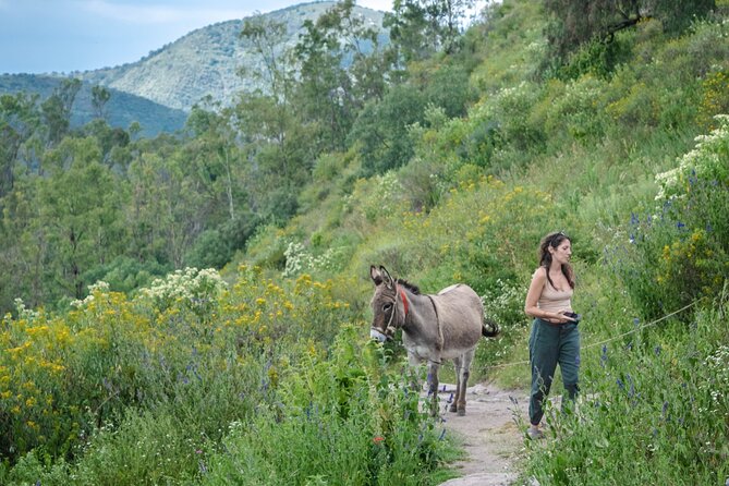 Unique cablecar experience, pulque tasting &unbeatable views - What the $35 price really covers