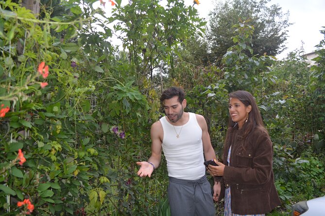 Urban Orchard in Desierto de los Leones in Mexico City - What $75 buys you