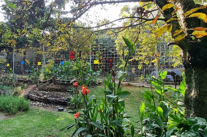 Urban Orchard in Desierto de los Leones in Mexico City - Who should book this experience