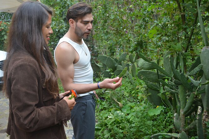 Urban Orchard in Desierto de los Leones in Mexico City - Meeting Rubén and David in their urban orchard