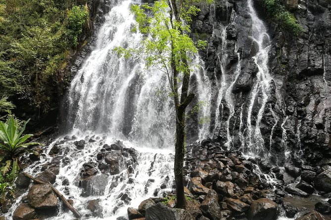 Valle de Bravo: Private & Small group tour from Mexico City - What the $139.51 price covers