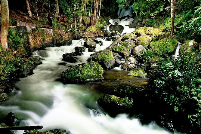 Valle de Bravo: Private & Small group tour from Mexico City - Who will enjoy this day most