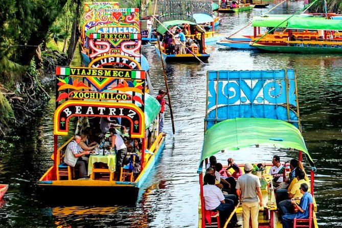 Visit to Xochimilco, Coyoacán and Ciudad Universitaria - Is the $44 price fair?
