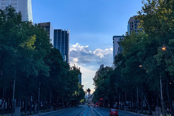 Walking Mexico City Tour with Anthropology Museum - Paseo de la Reforma by air-conditioned vehicle