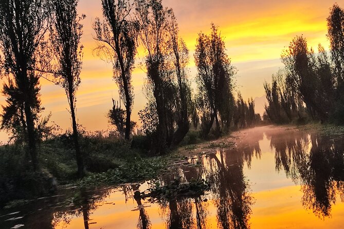 Xochimilco at dawn in Canoe or Kayak and Organic Breakfast - Key points to know before booking