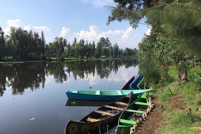 Xochimilco at dawn in Canoe or Kayak and Organic Breakfast - Planting vegetables before the return ride