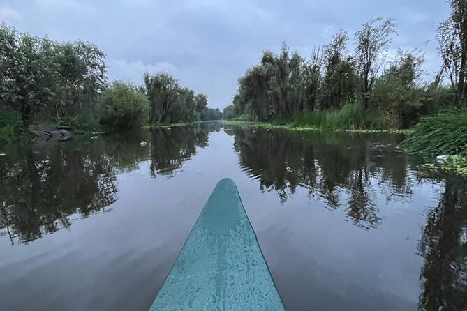 Xochimilco at dawn in Canoe or Kayak and Organic Breakfast - Language, group size, and the early logistics
