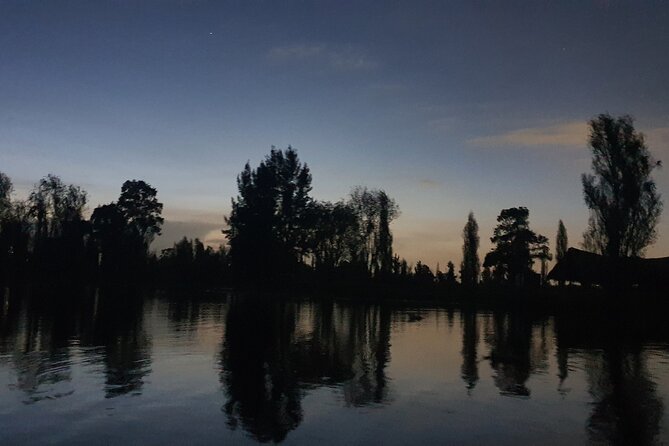 Xochimilco Barco Fiesta Tentacion 18+ with Open Bar and Tacos - Xochimilco turns into a floating party