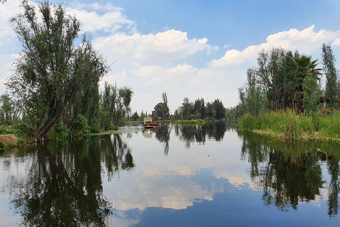 Xochimilco Barco Fiesta Tentacion 18+ with Open Bar and Tacos - Who will enjoy this most?