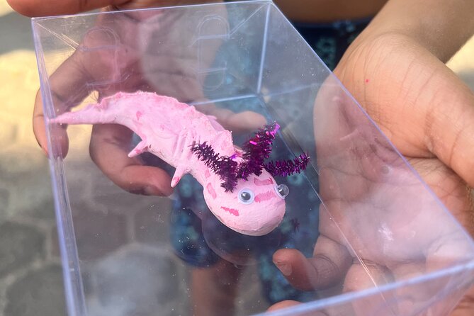 Xochimilco Boat Ride with Kids - Axolotls give the ride a memorable focus