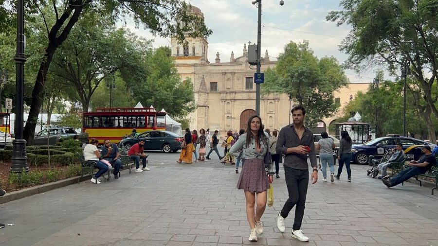Xochimilco & Colonial Coyoacan Trip - What the guides add to the day