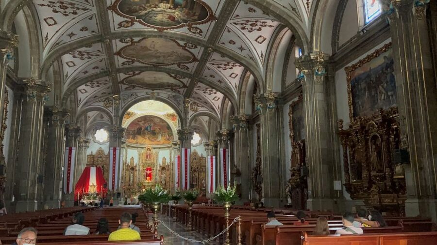 Xochimilco & Colonial Coyoacan Trip - Who should book this experience