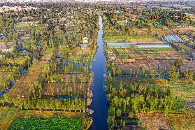 Xochimilco, Coyoacan and Frida Kahlo Museum Tour - Xochimilco by trajinera