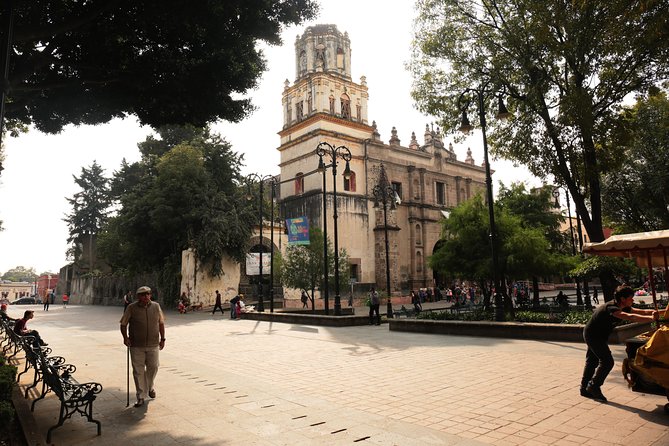 Xochimilco, Coyoacan and Frida Kahlo with Optional Lunch - Lunch, shopping and the shape of the day