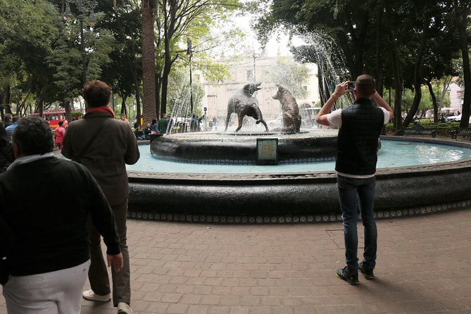 Xochimilco, Coyoacan and Frida Kahlo with Optional Lunch - Guides, buses and group management