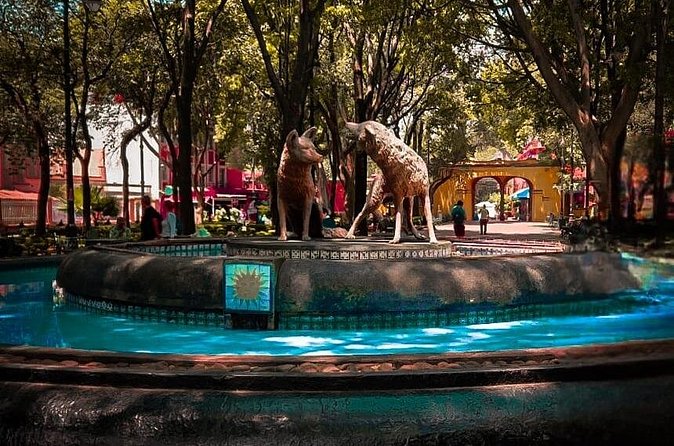 Xochimilco, Coyoacan and more tours - Timing, pickup, and what to bring
