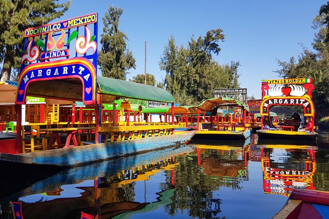 Xochimilco, Coyoacan, Aztec Stadium & UNAM - UNAM murals and the university city