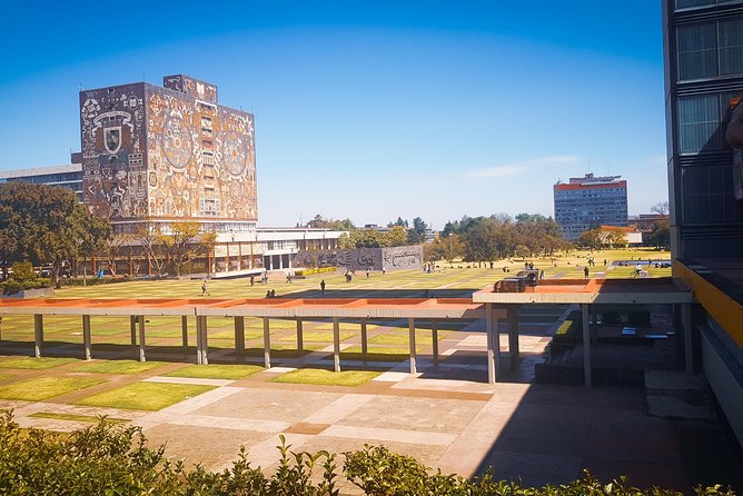 Xochimilco, Coyoacan, Aztec Stadium & UNAM - Who should book this outing
