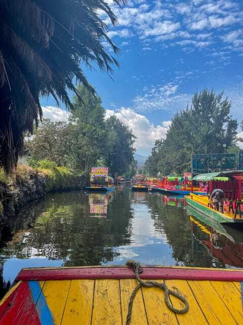 Xochimilco + Coyoacán Combo Full-Day Tour - Final call: a well-balanced private introduction