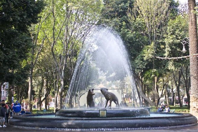 Xochimilco - Coyoacan Tour - Xochimilco: canals, flowers, and the trajinera question