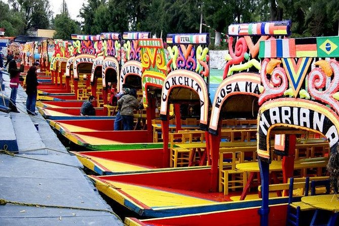 Xochimilco - Coyoacan Tour - What the private vehicle changes