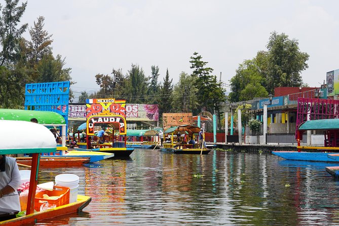Xochimilco & Coyoacan with Frida Kahlo Private Tour - Ciudad Universitaria and the Giant Murals