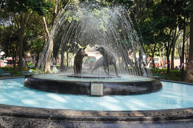Xochimilco & Coyoacan with Frida Kahlo Private Tour - Is $241 Per Person Fair?