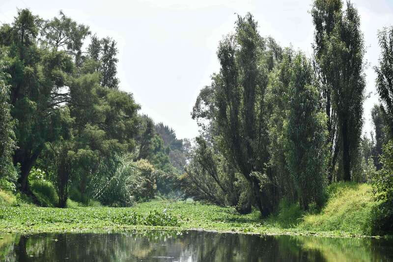 Xochimilco Ecological Tour – Away From the Crowds (3 Hours) - Why this Xochimilco tour feels different
