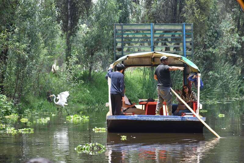 Xochimilco Ecological Tour – Away From the Crowds (3 Hours) - Calm canals and the old chinampa system