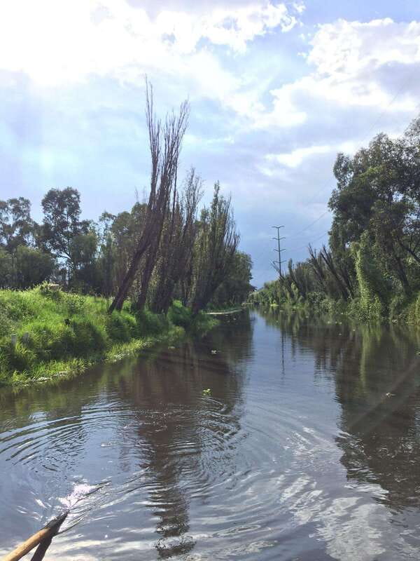 Xochimilco Ecological Tour – Away From the Crowds (3 Hours) - Meeting the axolotl at its sanctuary