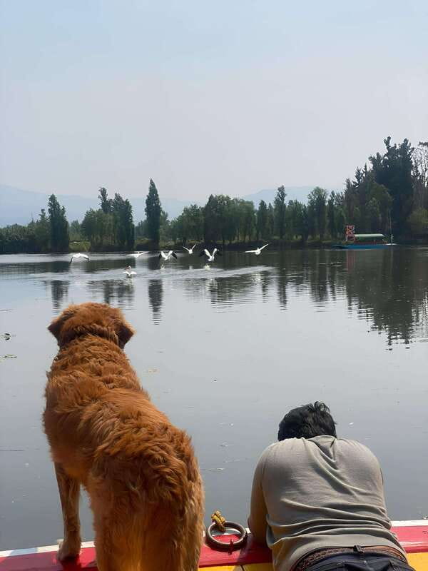 Xochimilco Ecological Tour – Away From the Crowds (3 Hours) - Who will enjoy this more than a party boat?