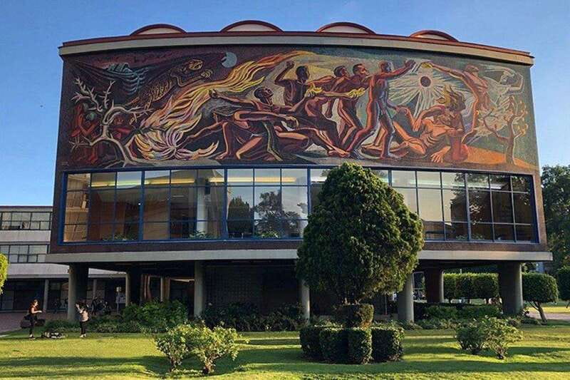 Xochimilco floating gardens, Coyoacan and UNAM murals - Who gets the best value from this outing