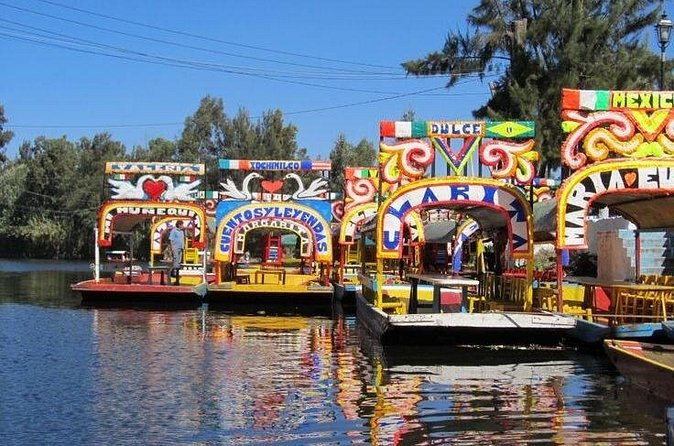 Xochimilco + Museo Anahuacalli (add-on) PET-FRIENDLY - How the two stops work together