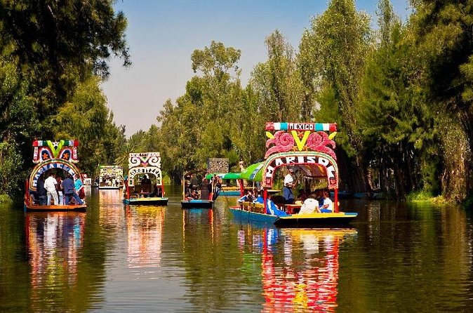Xochimilco + Museo Anahuacalli (add-on) PET-FRIENDLY - Duration, pickup, and the best time to go