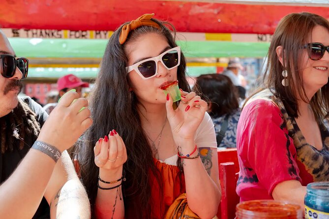Xochimilco Party Pickup Included - Starting at 2 p.m. in Roma Norte