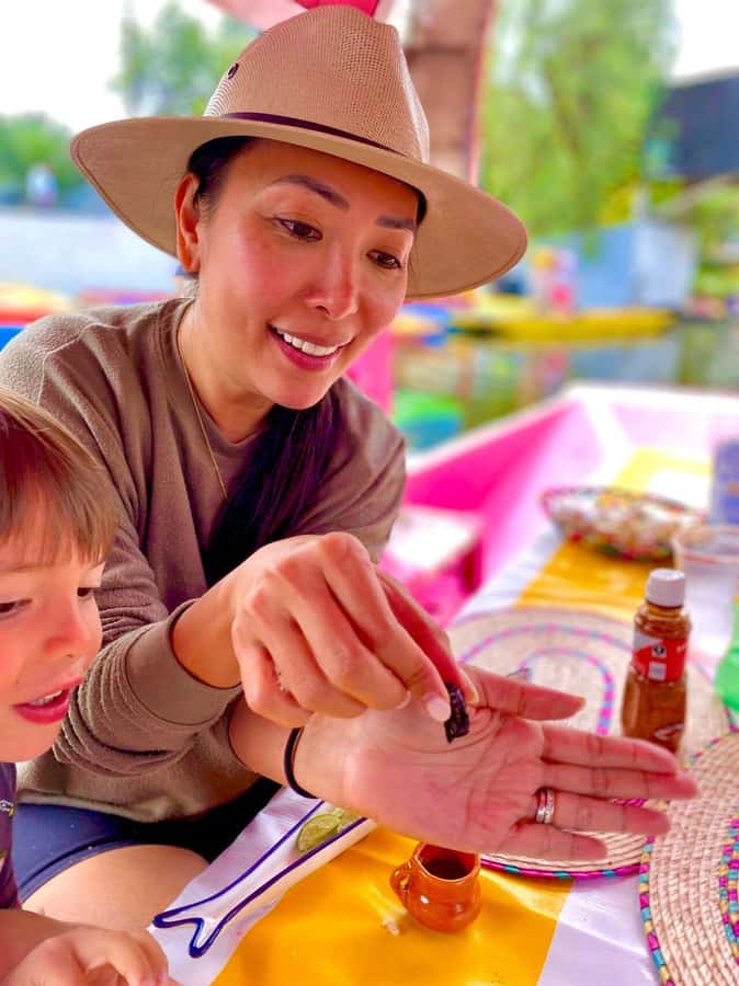 Xochimilco's Wild Side: Mezcal, Insects & Culture - Key points at a glance