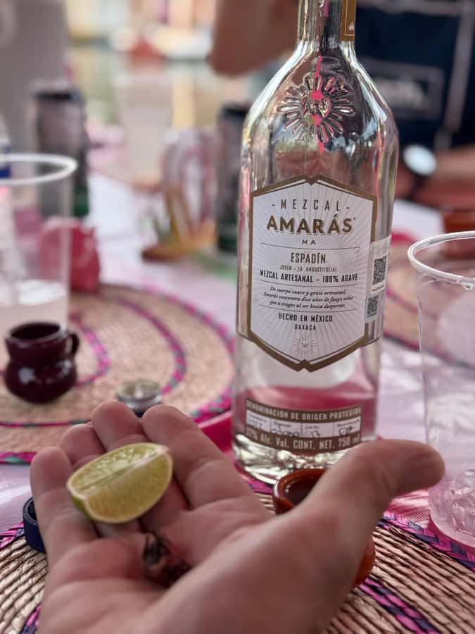 Xochimilco's Wild Side: Mezcal, Insects & Culture - Tasting young, reposado, and flavored mezcal