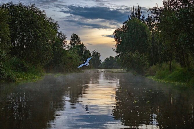 Xochimilco Sunrise from Mexico - Key points to know before booking