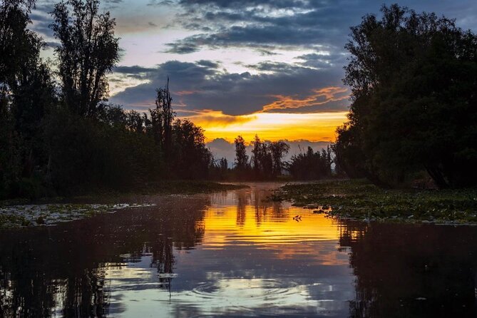 Xochimilco Sunrise from Mexico - The trajinera ride through preserved canals