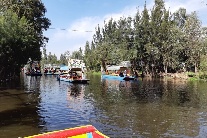 Xochimilco Tour - Chinampas, nurseries, and the working side of Xochimilco