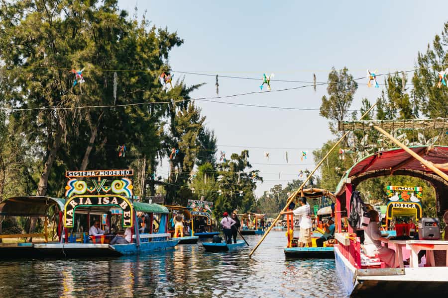 Xochimilco: traditional boat tour, culture, and fun. - Key things to know before you go